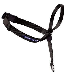 Gentle Leader Headcollar - Image 5