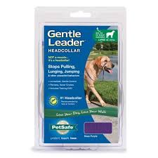 Gentle Leader Headcollar - Image 6