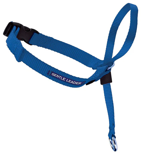 Gentle Leader Headcollar - Image 7