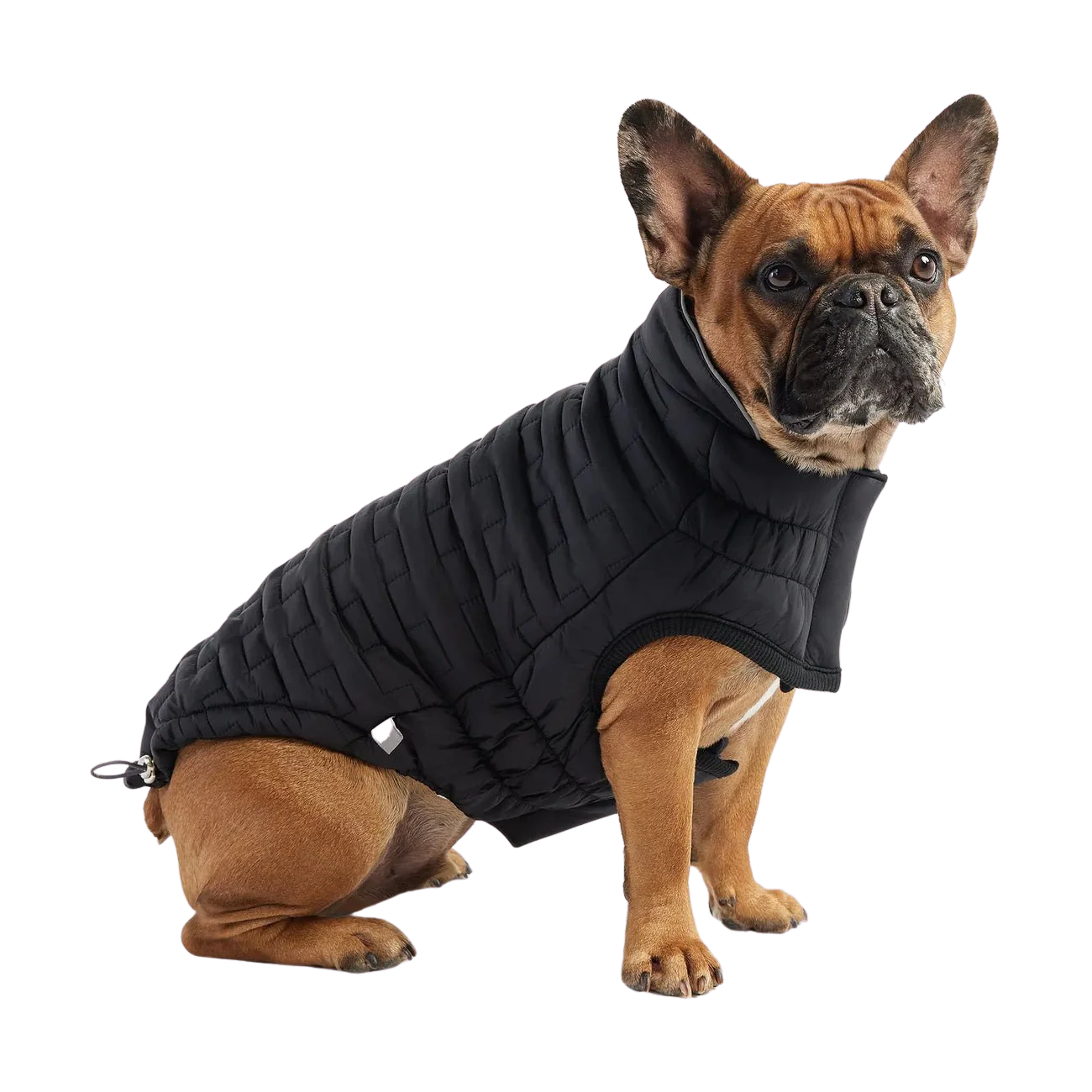 GF Pet Reverible Chalet Jacket Black - Image 5