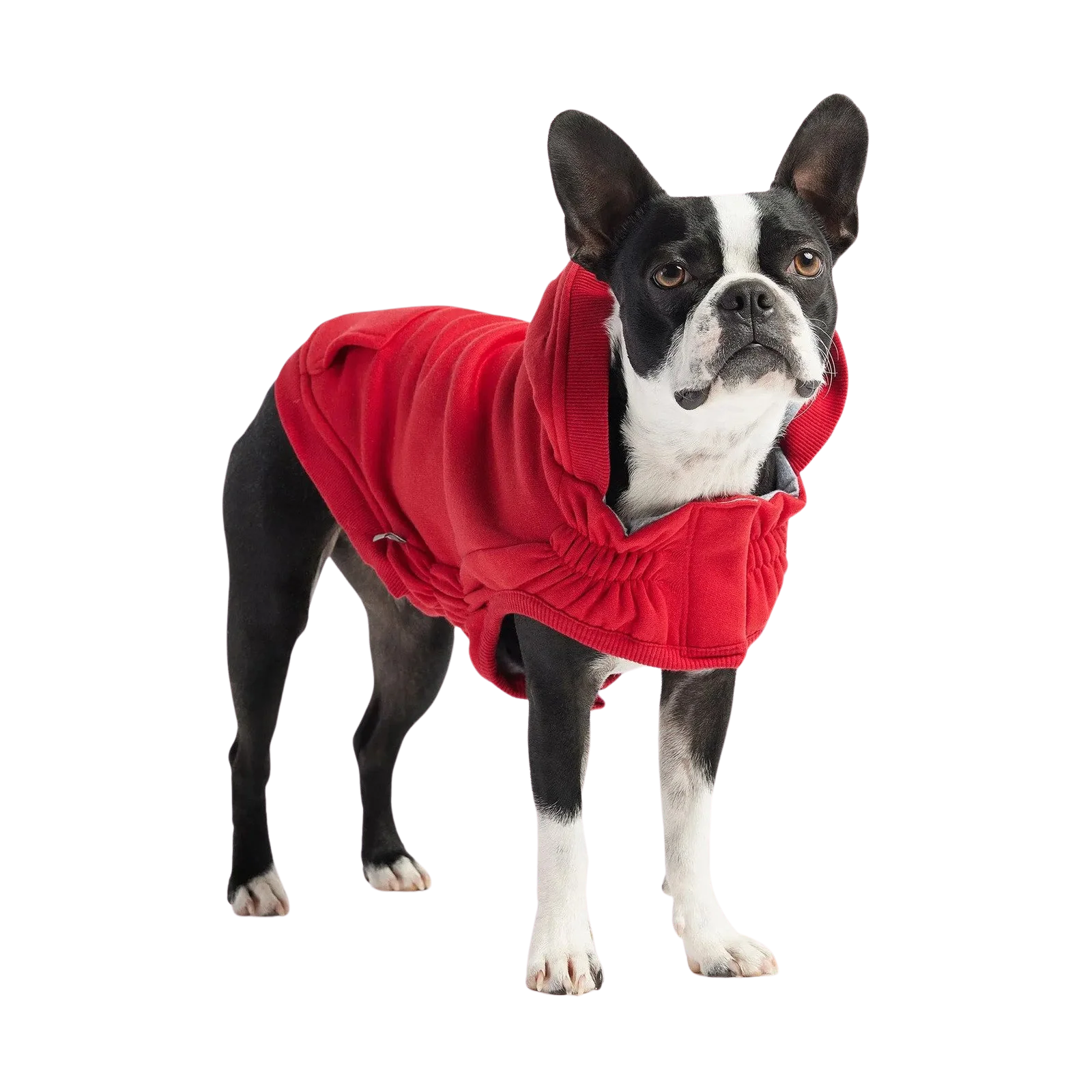 GF Pet Urban Hoodies - Image 12