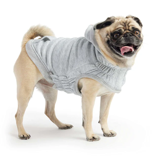 GF Pet Urban Hoodies - Image 4