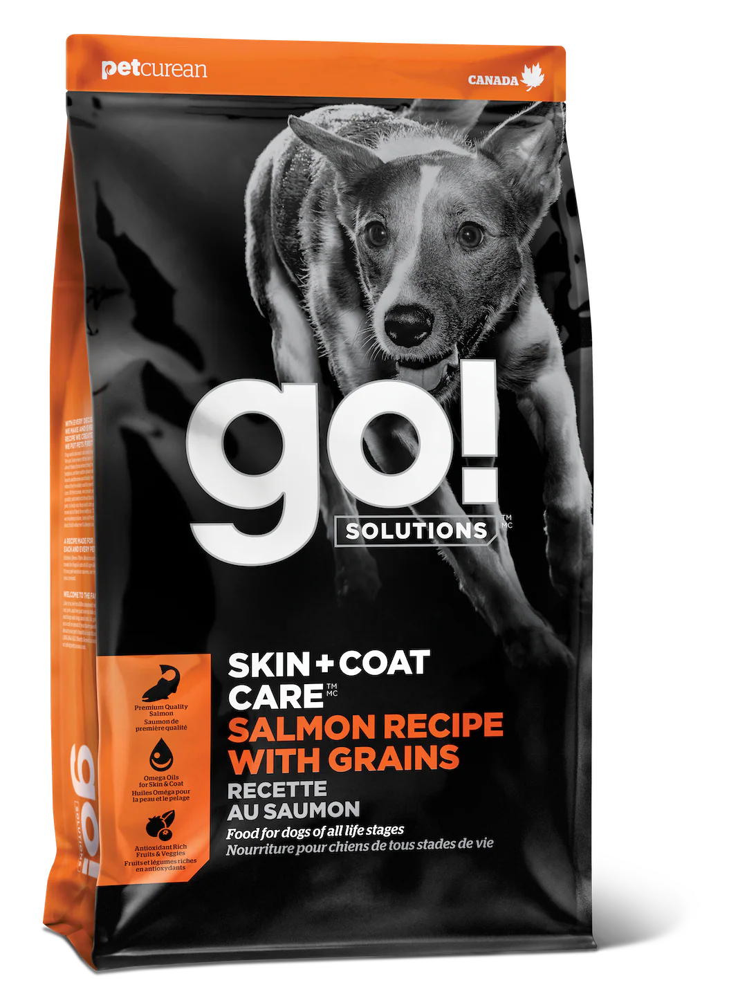 Go! Skin & Coat Care with Grain Salmon - Image 3