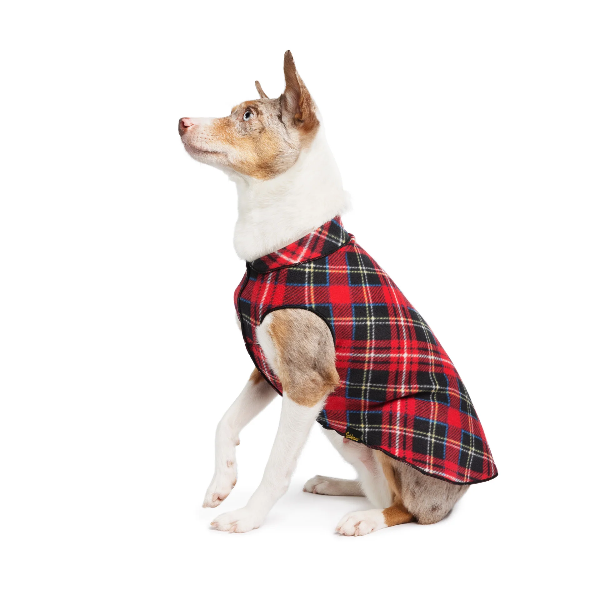 Goldpaw Fleece - Image 11