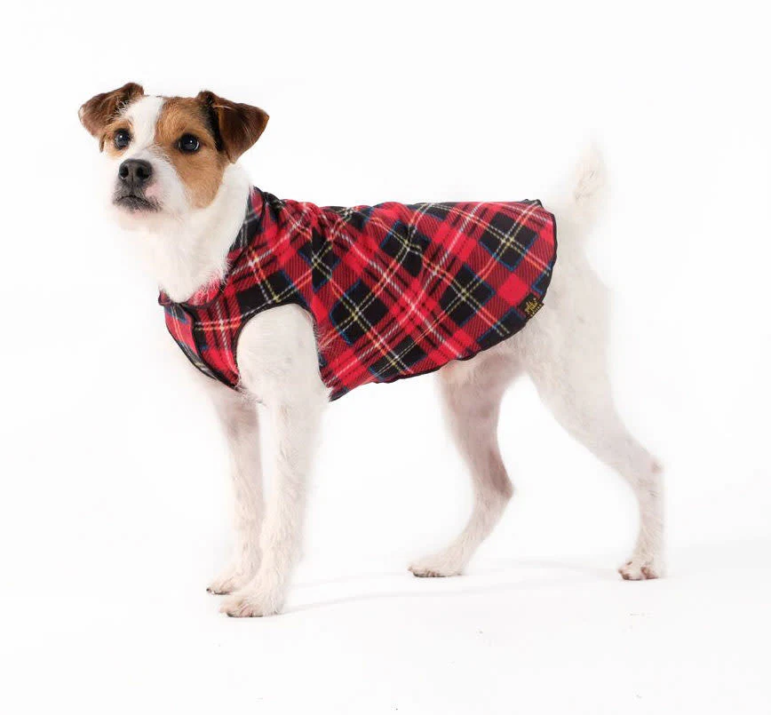 Goldpaw Fleece - Image 12