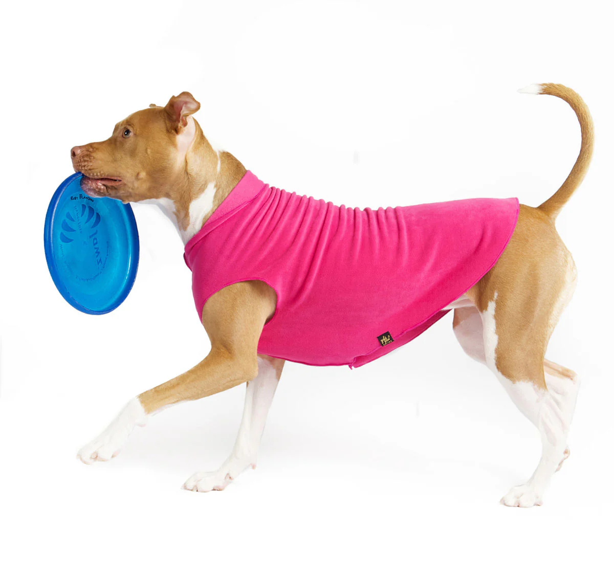 Goldpaw Fleece - Image 16