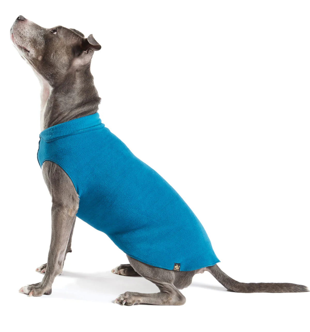 Goldpaw Fleece - Image 30