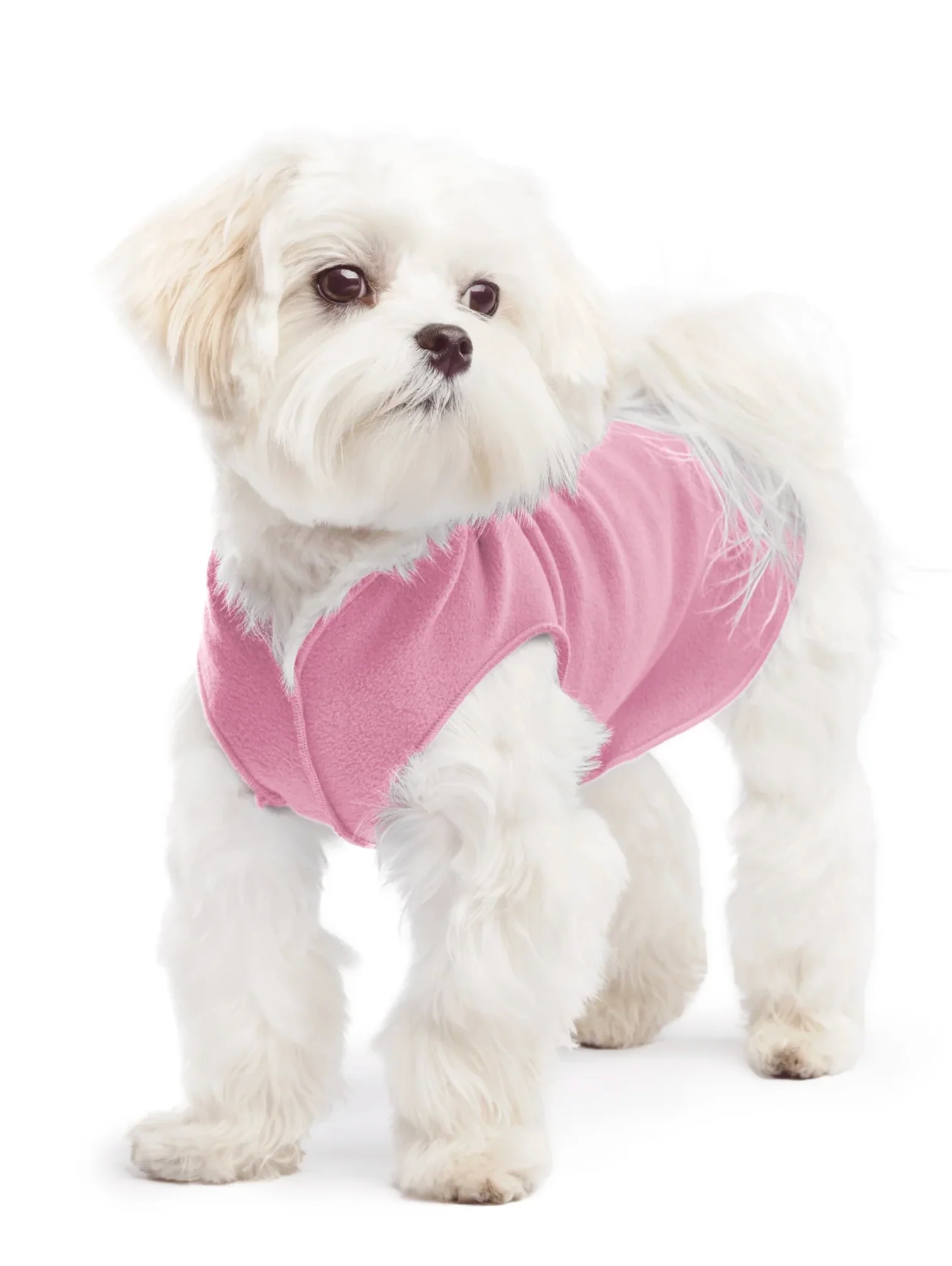 Goldpaw Fleece - Image 31