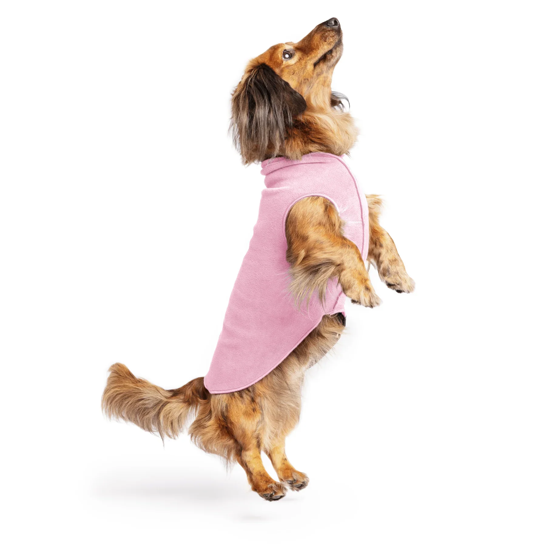 Goldpaw Fleece - Image 33