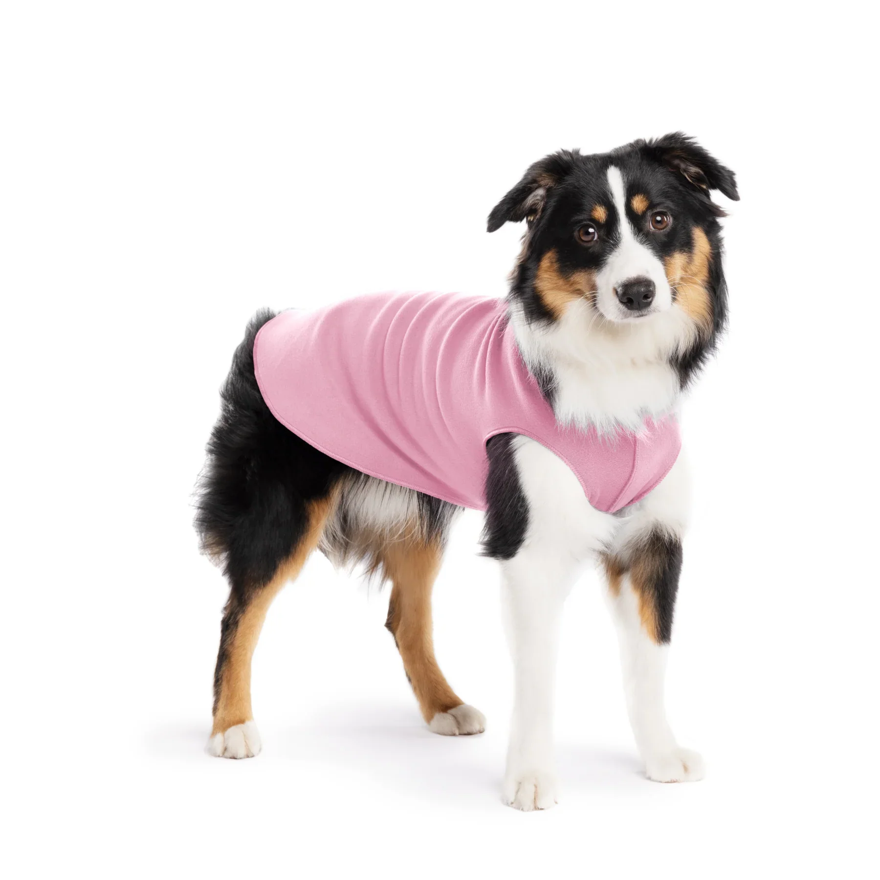 Goldpaw Fleece - Image 34
