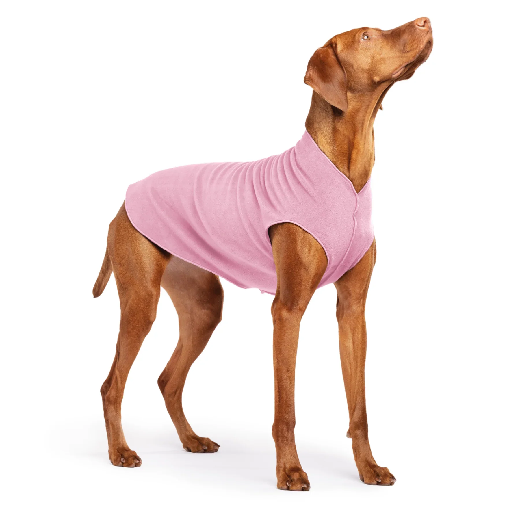Goldpaw Fleece - Image 35