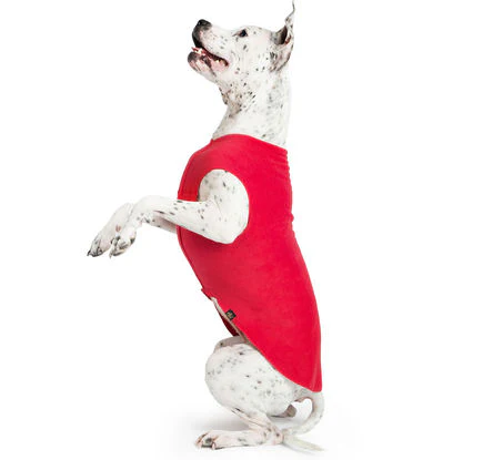 Goldpaw Fleece - Image 6