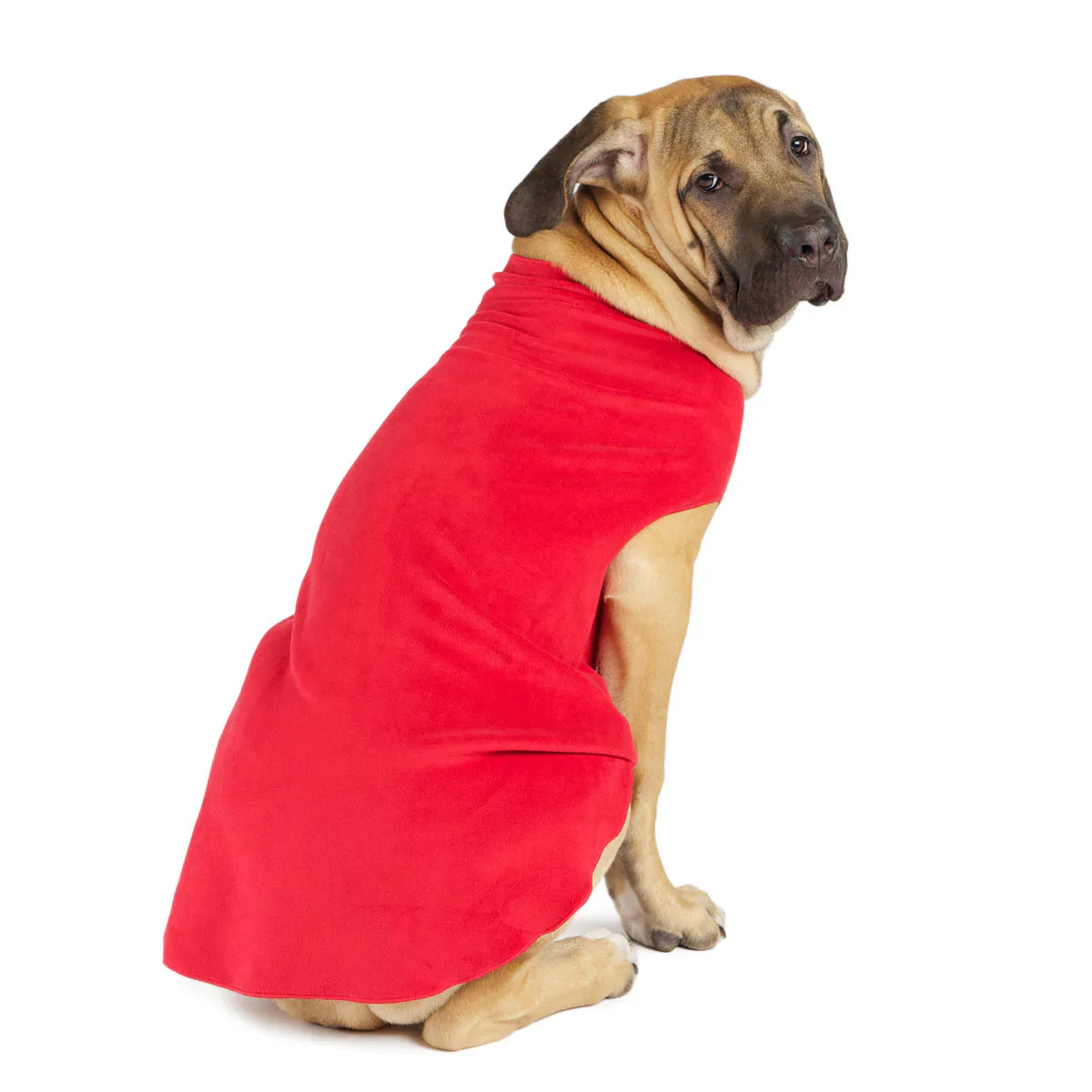 Goldpaw Fleece - Image 8