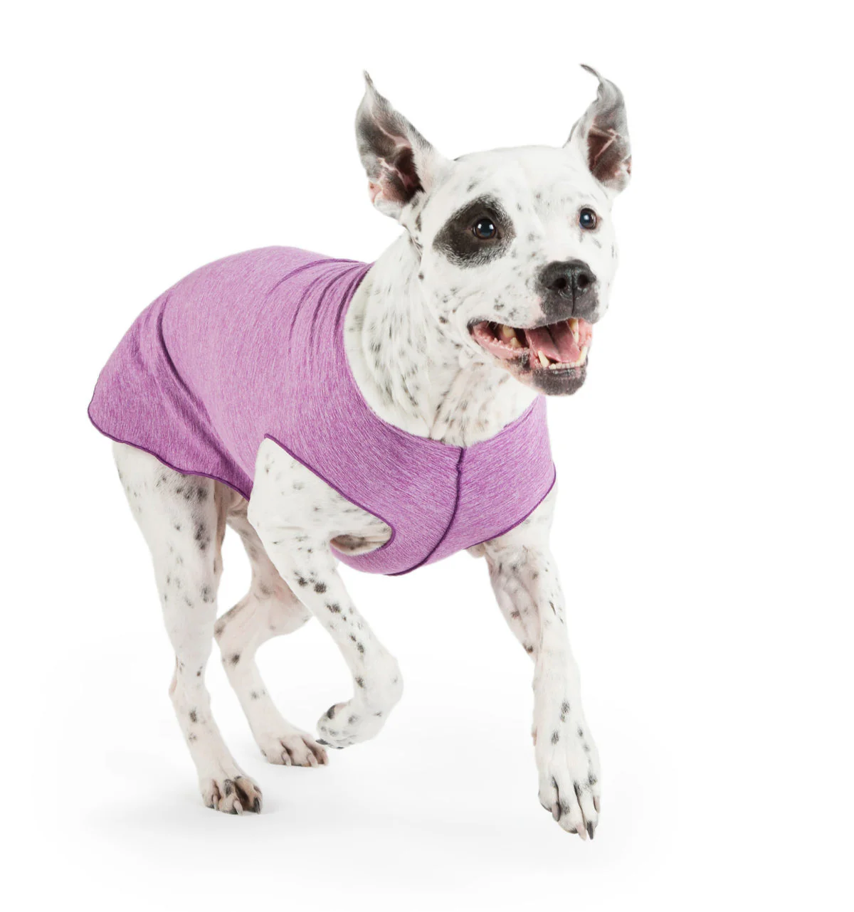 Goldpaw Sun Shield Tee - Image 23