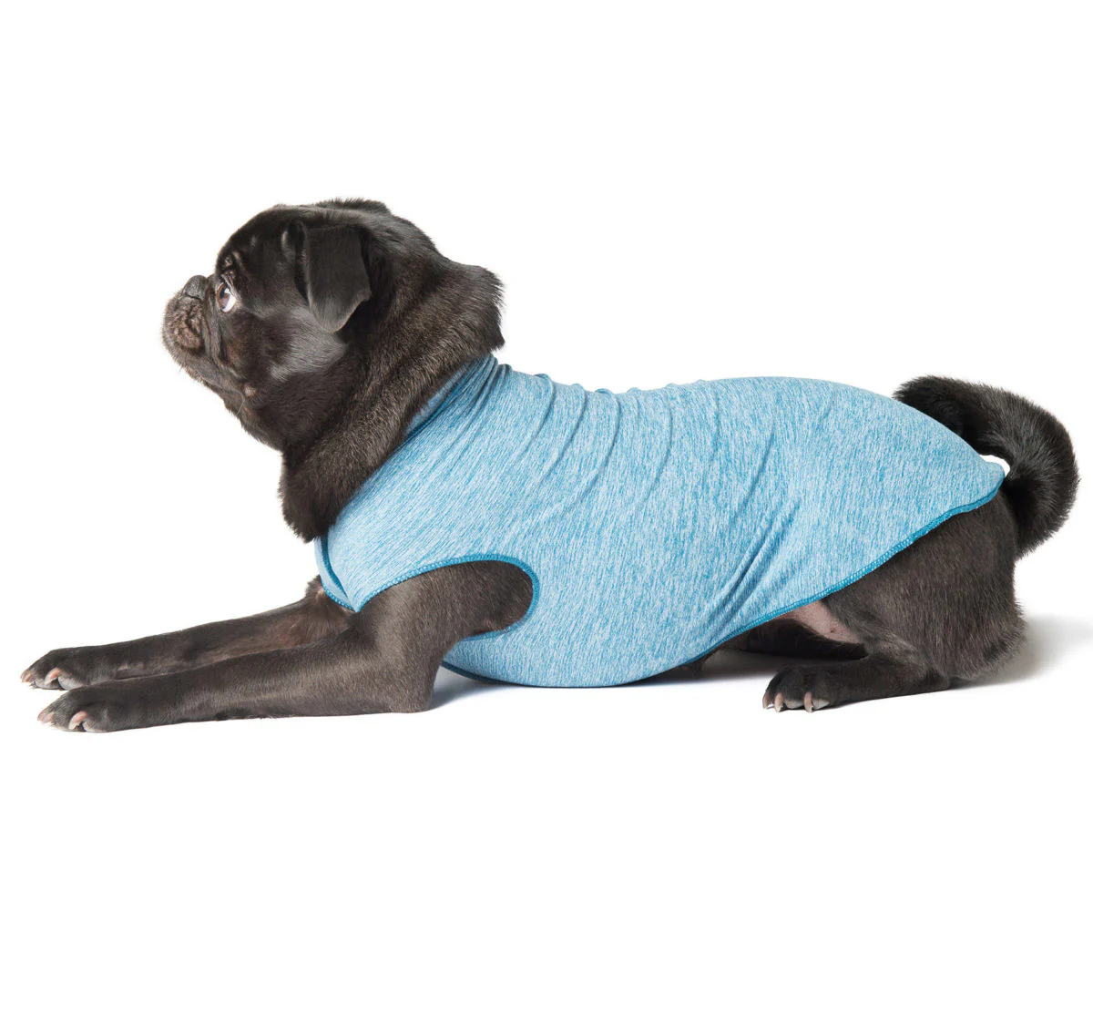 Goldpaw Sun Shield Tee - Image 28