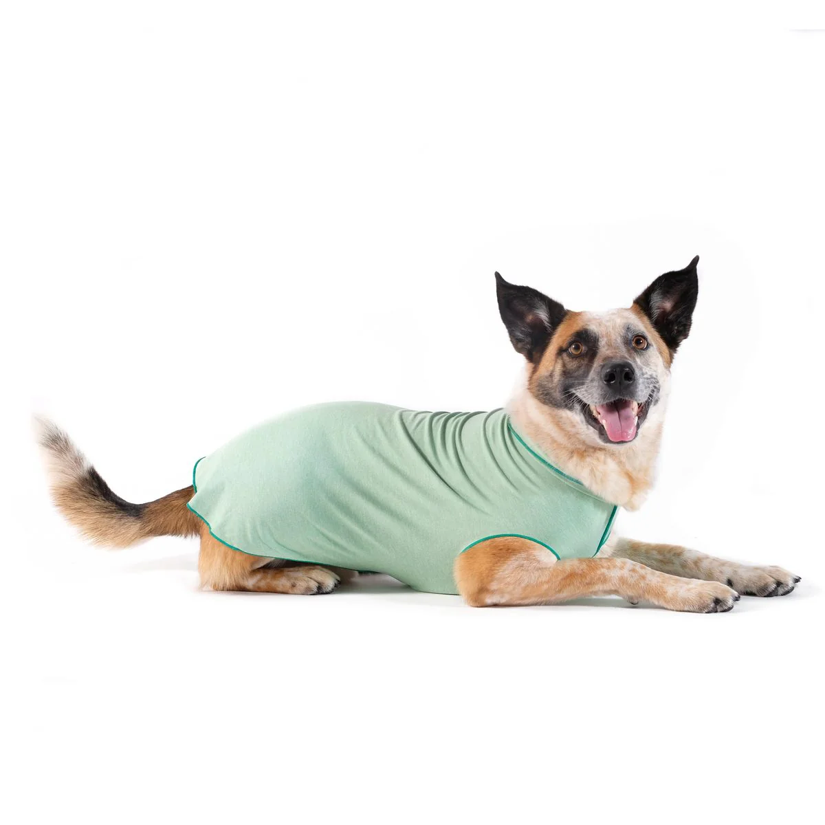 Goldpaw Sun Shield Tee - Image 34