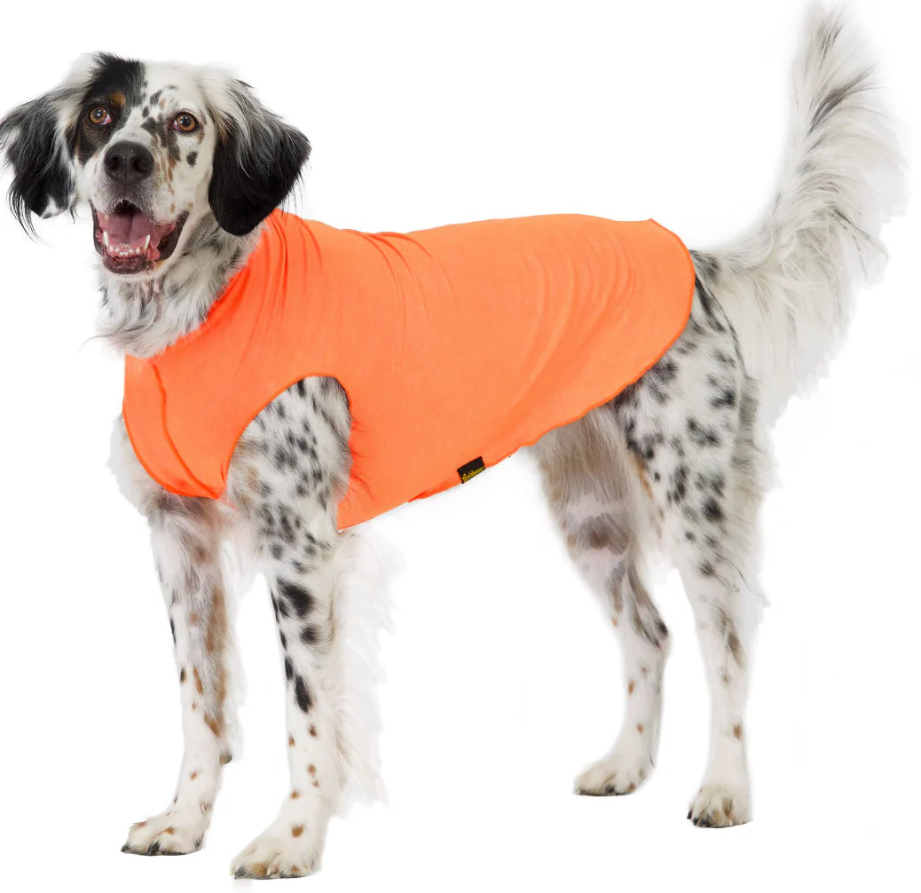 Goldpaw Sun Shield Tee - Image 5