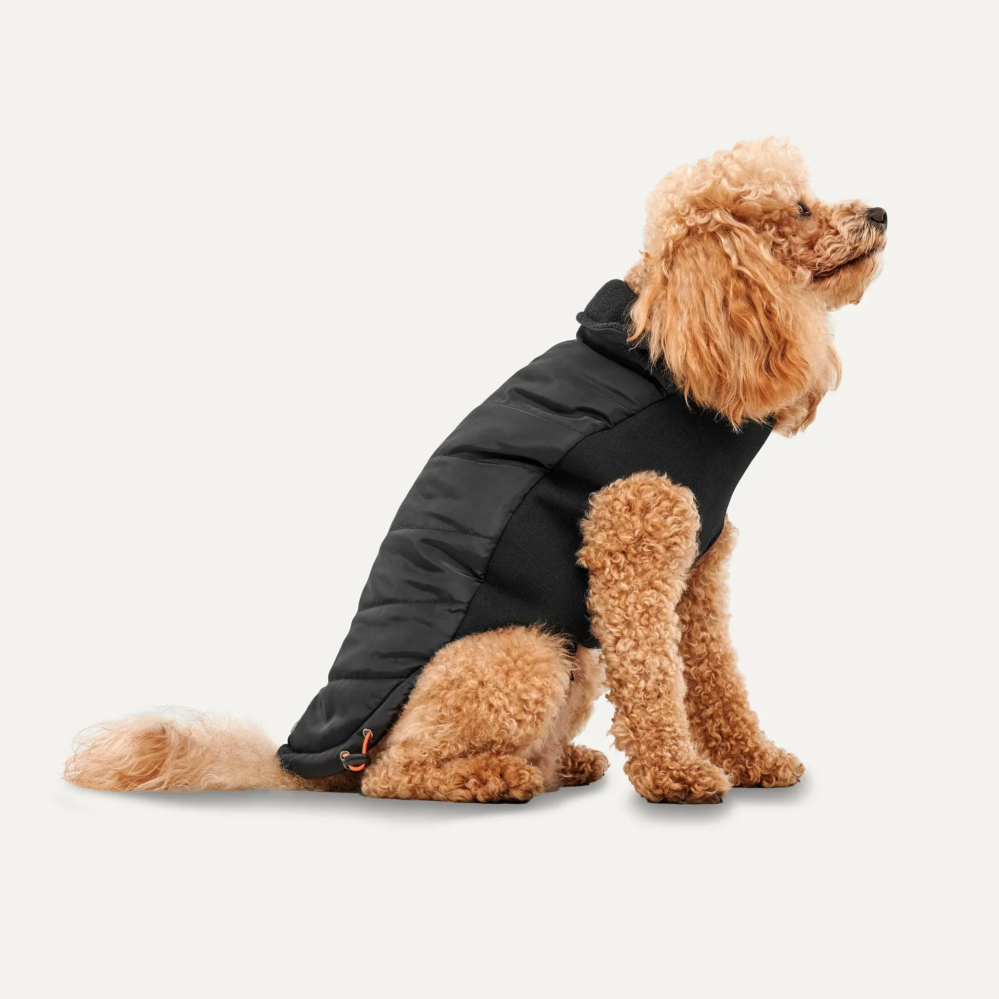 Goo-eez Mock Neck Signature Jacket - Image 2