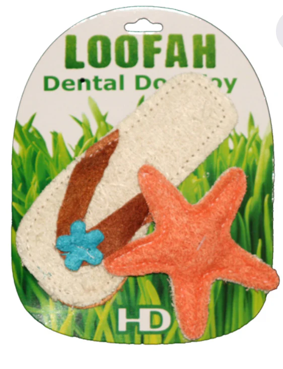Hip Doggie Loofah Sandal & Starfish - Image 3