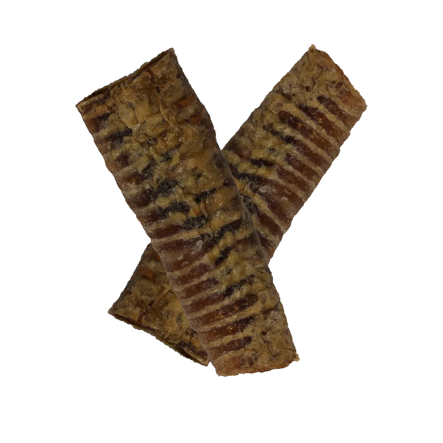 Honey I'm Home Trachea Tube - Image 3
