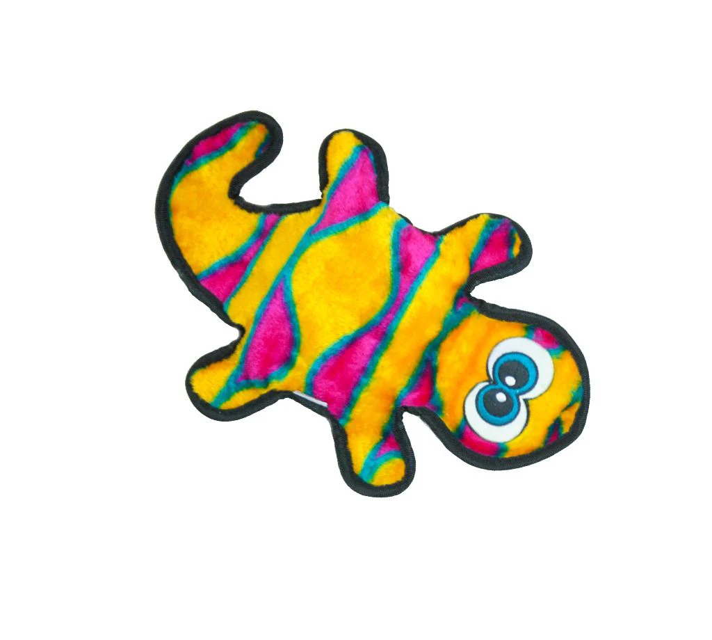 Invincibles Gecko - Image 2