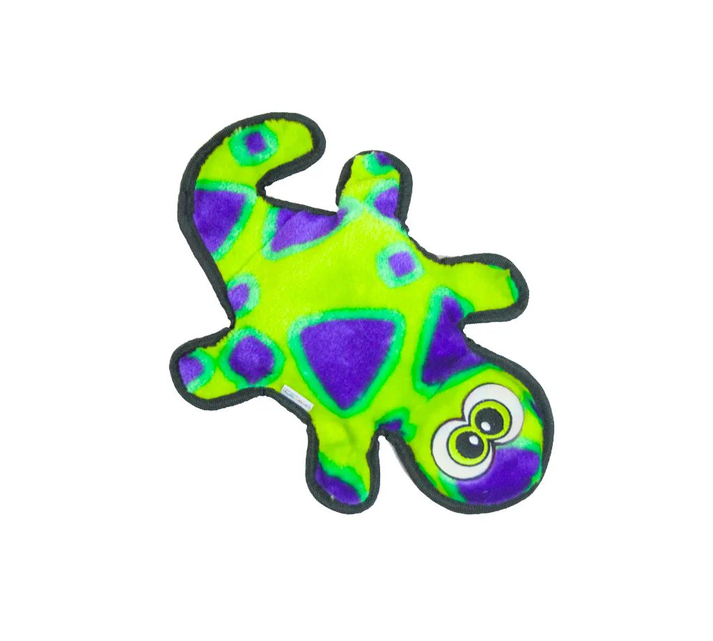 Invincibles Gecko - Image 3