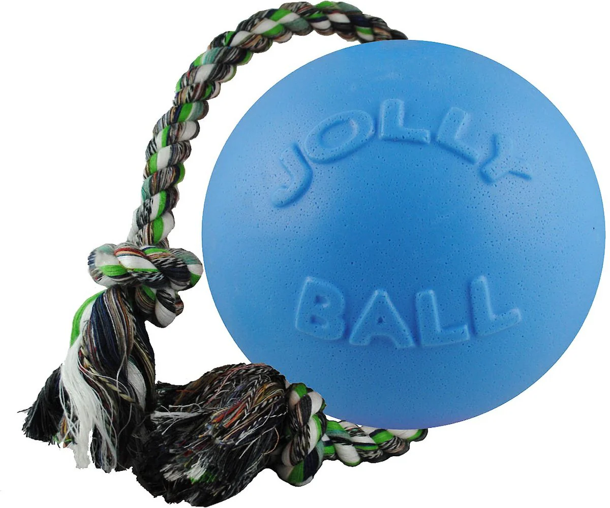 Jolly Pets Romp-n-Roll - Image 3