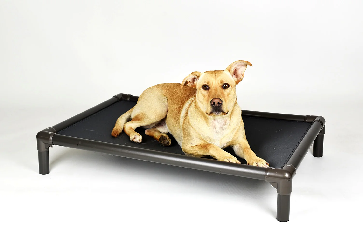 Kuranda Bed Walnut - Image 3