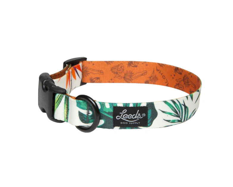 Leeds Dog Supply Collar - Image 17