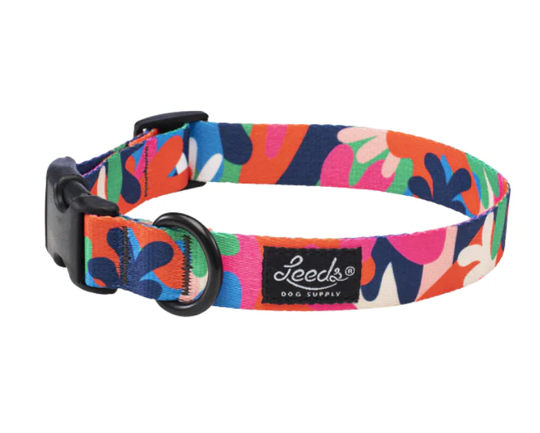 Leeds Dog Supply Collar - Image 20