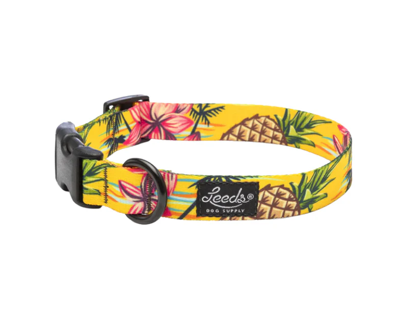 Leeds Dog Supply Collar - Image 21