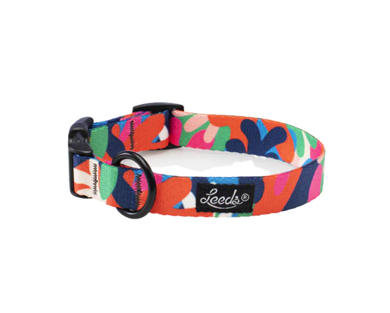 Leeds Dog Supply Collar - Image 26