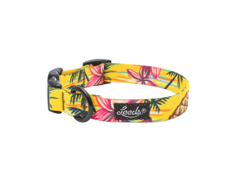 Leeds Dog Supply Collar - Image 27