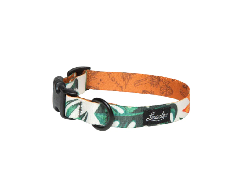 Leeds Dog Supply Collar - Image 29