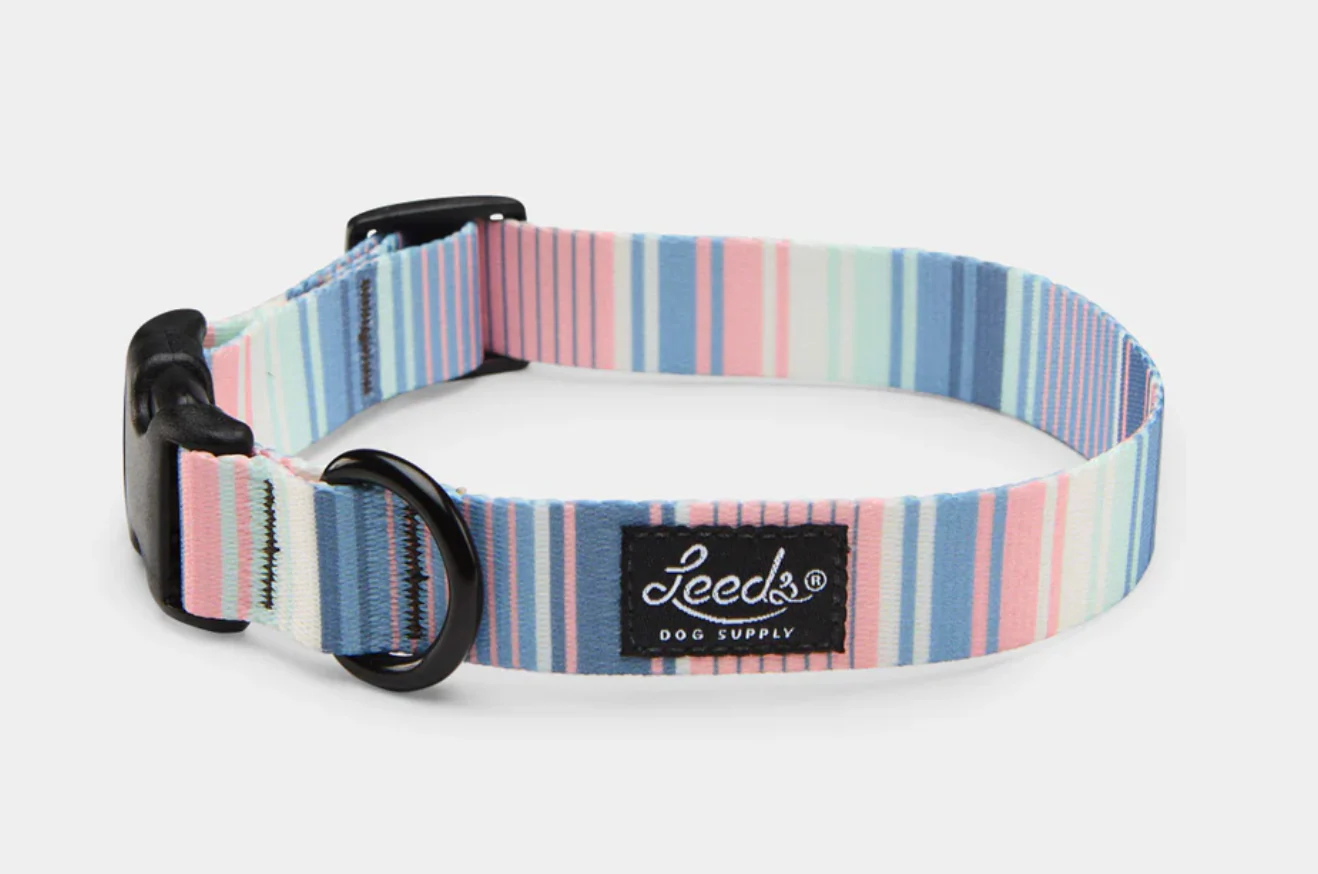 Leeds Dog Supply Collar - Image 40