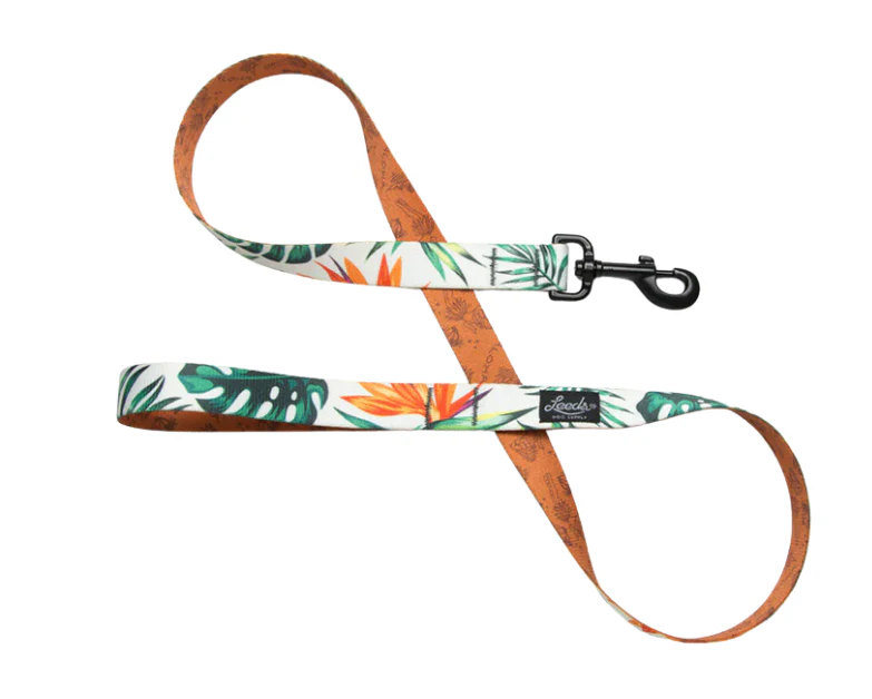 Leeds Dog Supply Leash - Image 19