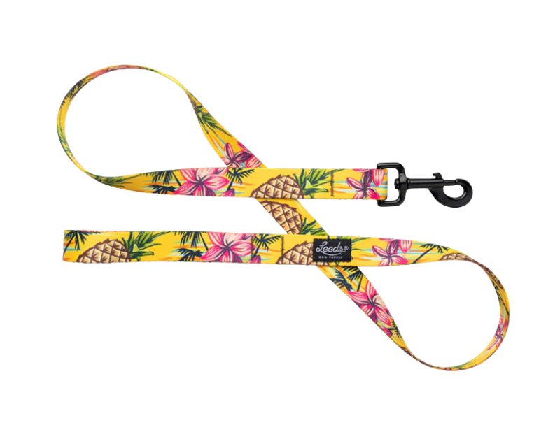 Leeds Dog Supply Leash - Image 23