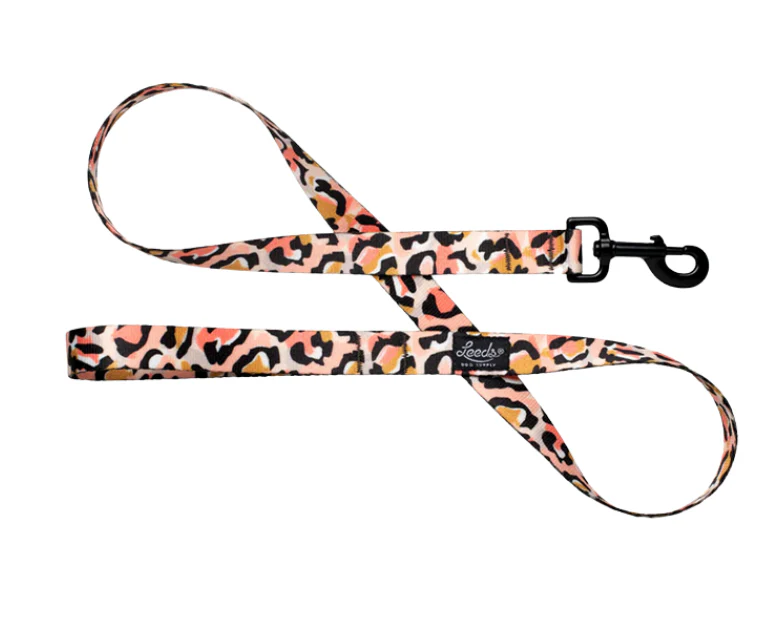 Leeds Dog Supply Leash - Image 9