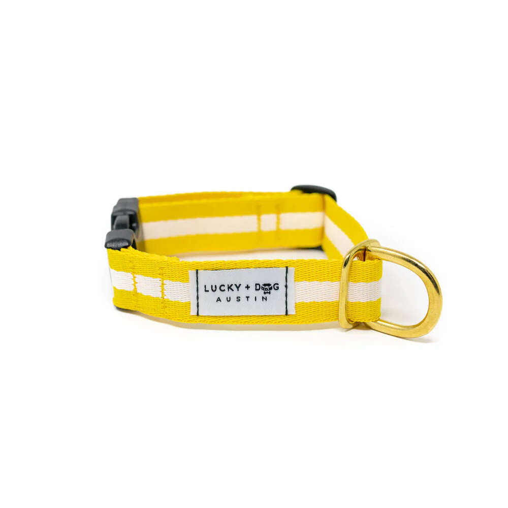 Lucky + Dog Austin Every Day Collar - Image 12