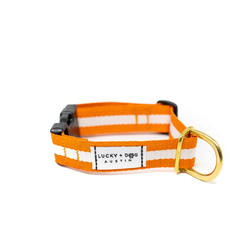 Lucky + Dog Austin Every Day Collar - Image 15