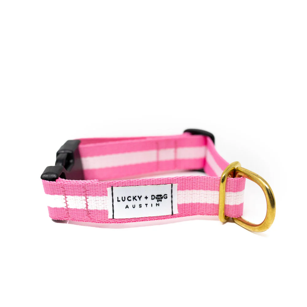 Lucky + Dog Austin Every Day Collar - Image 18