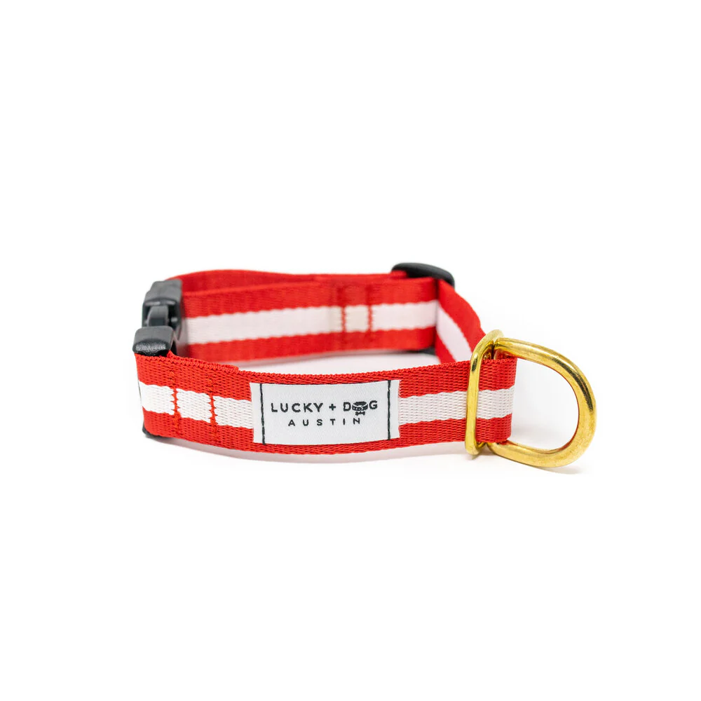 Lucky + Dog Austin Every Day Collar - Image 20