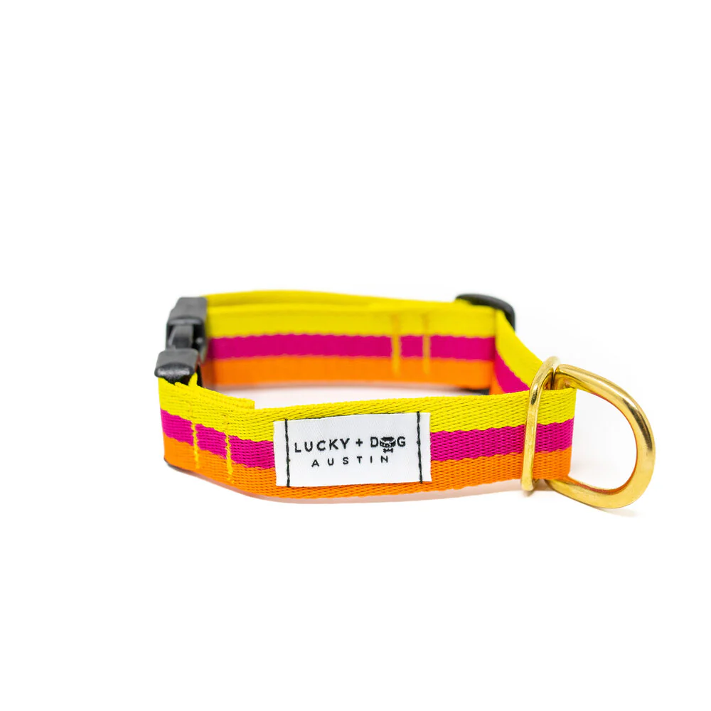 Lucky + Dog Austin Every Day Collar - Image 28
