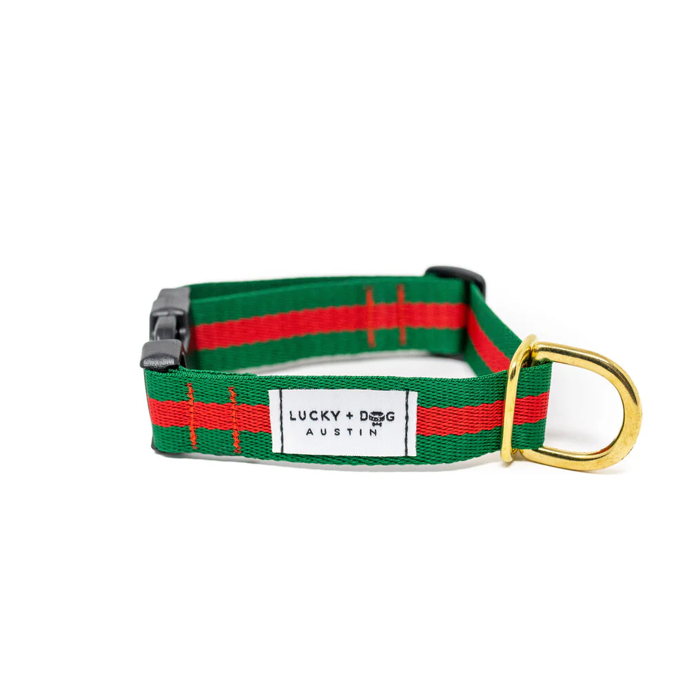 Lucky + Dog Austin Every Day Collar - Image 32