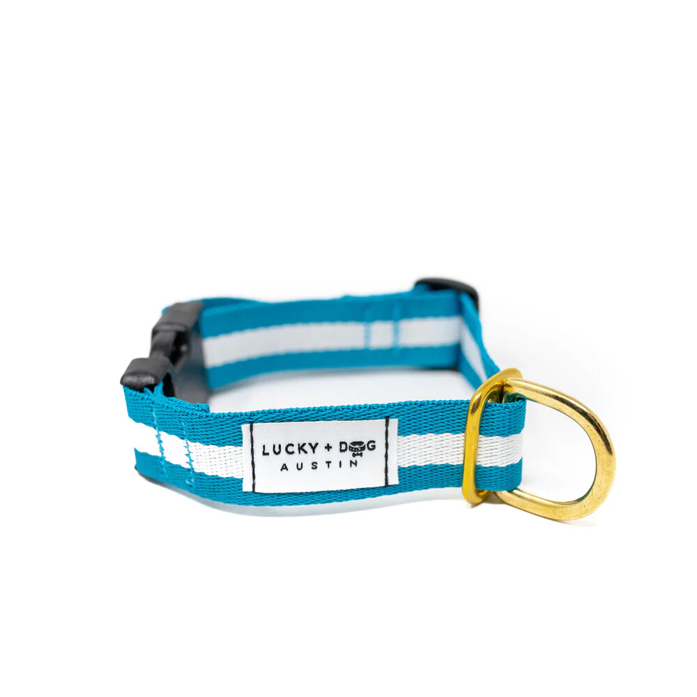 Lucky + Dog Austin Every Day Collar - Image 5