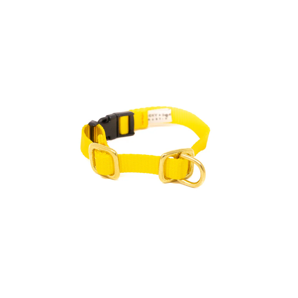 Lucky + Dog Austin Puppy Collar - Image 3