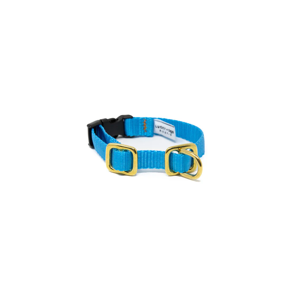 Lucky + Dog Austin Puppy Collar - Image 4