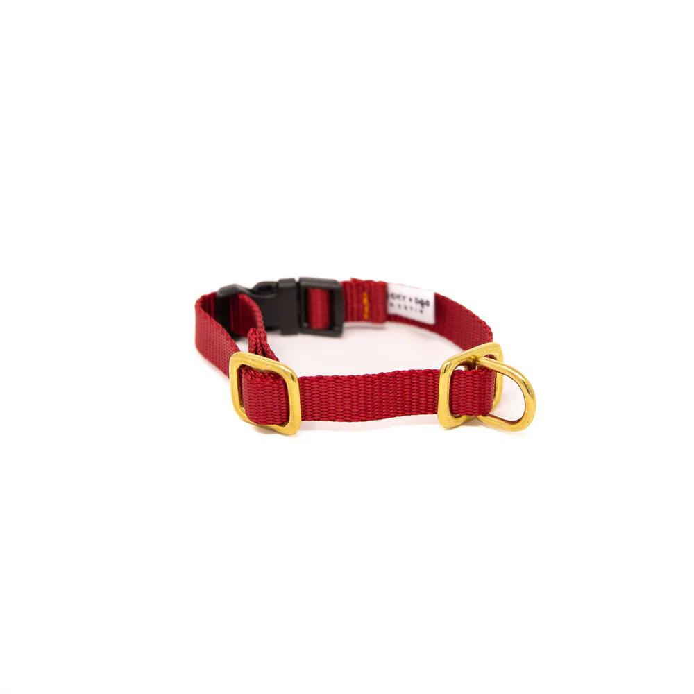 Lucky + Dog Austin Puppy Collar - Image 5