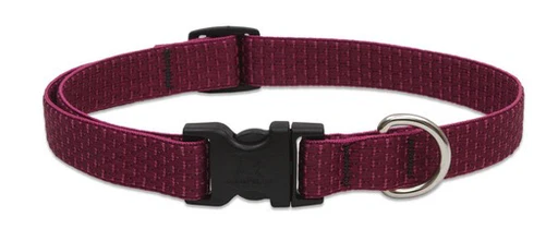 Lupine Eco Collection Collars - Image 12