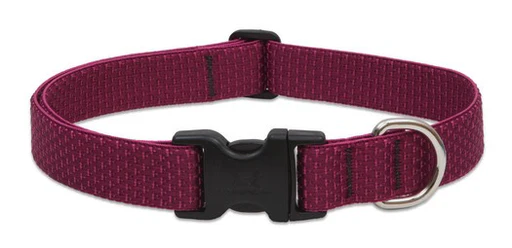 Lupine Eco Collection Collars - Image 18